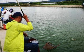 釣白條魚可以用什么餌料，腥餌還是香餌效果都很不錯