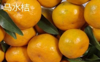 橘子的產(chǎn)地分布，主產(chǎn)于廣東、湖南、四川、廣西等省份