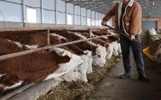 養(yǎng)殖戶對于飼料成本與飼養(yǎng)成本的誤區(qū)，飼料成本越低越好是一種錯誤的想法