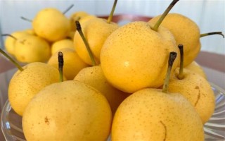 遼寧遼陽(yáng)市有什么特色水果，有燈塔葡萄、前杜草莓等