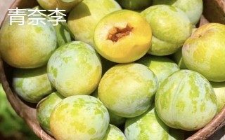 綠色的李子品種，常見的有蜂糖李、脫骨李等