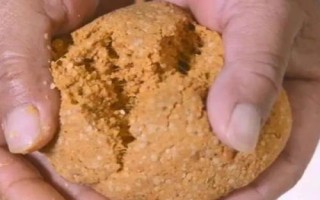垂釣鳊魚(yú)的適宜深度，0.5-1米的深度較合適