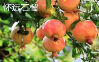 安徽省長(zhǎng)豐縣的特產(chǎn)，下塘燒餅深受消費(fèi)者喜愛
