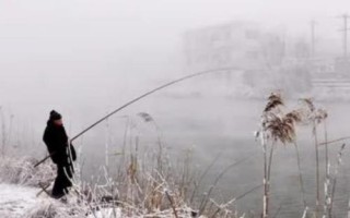 冬天晚上鰱鳙會開口嗎，氣溫太低非常難開口