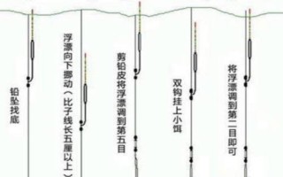 初春野釣鯽魚的技巧，打窩時窩料首選酒米