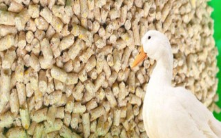 給肉鴨配制飼料的原則，不能一次性配制過多