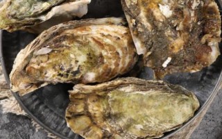 生蠔開(kāi)殼方法，經(jīng)過(guò)蒸煮會(huì)自然開(kāi)嘴