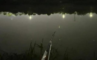夜釣用蚯蚓還是餌料好，取決于魚情、釣法、環(huán)境