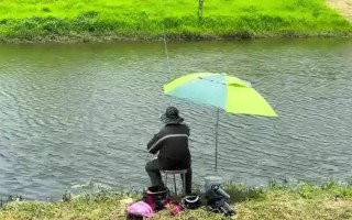 化氏大板鯽的味型，味型屬于天然谷物型
