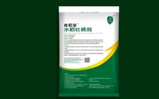 水稻壯秧劑在什么時候用，通常在秧苗移栽后使用