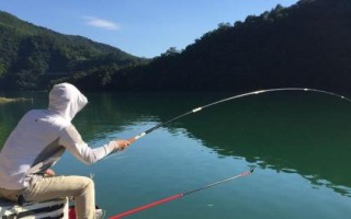為什么黑漂后釣不起來，最常見的是小魚鬧窩