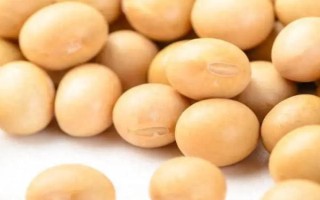 受歡迎的大豆品種有哪些，常見(jiàn)的有中黃35、中黃301等