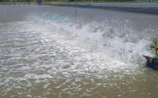 魚塘改底多久一次，一般1-3個月改底一次