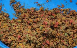 螺鯉123號(hào)哪種釣鯉魚效果好，是常用的商品餌料