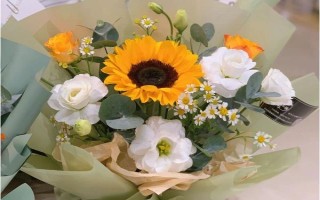 代表思念的花有哪些，有天堂鳥、百日草、蝴蝶花等