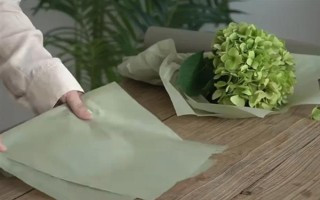 如何讓繡球花多開花，將溫度保持在20℃可促進花朵開放