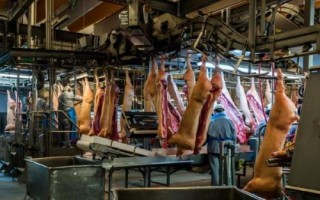 開辦屠宰場需辦理的手續(xù)，包括屠宰許可證、排污許可證及動物防疫條件許可證等