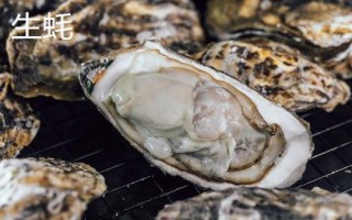 牡蠣和生蠔有什么區(qū)別，牡蠣的裙邊較清晰打開(kāi)后具有大量汁水