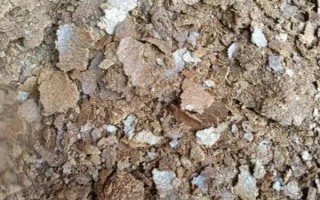 菜籽餅屬于什么肥料，是優(yōu)質(zhì)的有機肥料