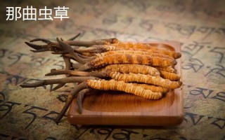 西藏那曲市的特產(chǎn)，酥油是藏族人不可缺少的食品