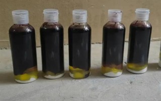 釣鯉魚如何才能避開白條鬧窩，可以使用素餌