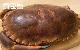 面包蟹和珍寶蟹的區(qū)別，產(chǎn)地、外形和價(jià)格均不同
