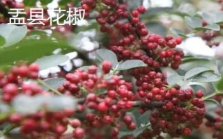 山西省陽(yáng)泉市盂縣的特產(chǎn)，棗介糕是家喻戶(hù)曉的美食