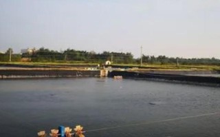 羅氏沼蝦的養(yǎng)殖條件，土壤以壤土、黏土為佳