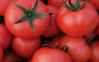 哪些農(nóng)作物在秋季成熟，包括花生、玉米、西紅柿等品種
