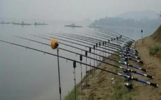 性?xún)r(jià)比高的海竿推薦，看看這十款
