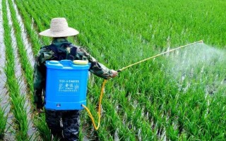 5克惡霉靈的兌水量，取決于使用方法