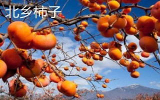 山西省陽(yáng)泉市盂縣的特產(chǎn)，棗介糕是家喻戶(hù)曉的美食