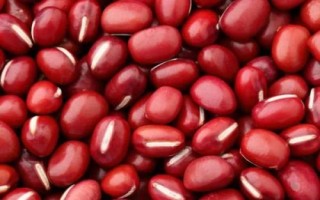 哪些農(nóng)作物在秋季成熟，包括花生、玉米、西紅柿等品種