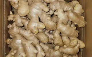 黃姜怎么種植，施入基肥再開溝播種