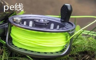 釣黑魚(yú)用什么竿線鉤，可以使用傳統(tǒng)竿、pe線、伊豆鉤等漁具