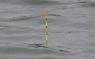 馬口魚的生活環(huán)境，常棲息在山澗溪流中