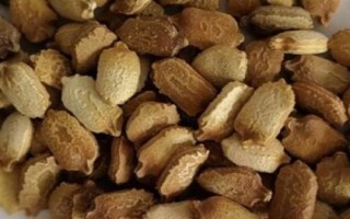 苦瓜的種植時間，南方在1-3月露天種植