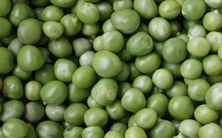 北匯豆1號(hào)大豆品種簡(jiǎn)介，選擇中等肥力地塊種植