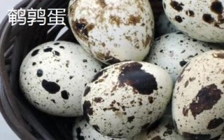 蛋的品種，最常見(jiàn)的種類是雞蛋
