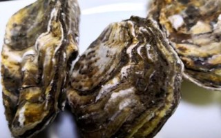 牡蠣和生蠔有什么區(qū)別，牡蠣的裙邊較清晰打開(kāi)后具有大量汁水