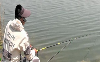 釣鰱鳙的技巧，釣位要選擇順風(fēng)或偏風(fēng)的地方
