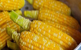 九粟720玉米種簡介，4月下旬至5月上旬播種