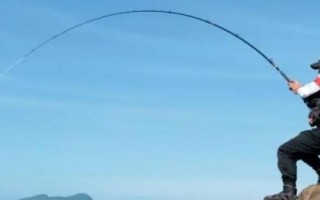 秋釣技巧，在水草區(qū)、入水口等位置釣魚更容易釣獲