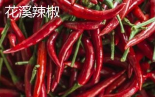 適合貴州種植的辣椒品種，是全國最大的辣椒交易市場
