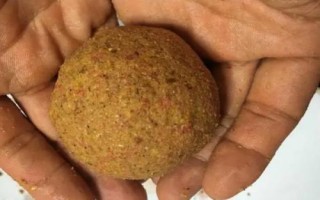 春釣大鯽魚如何選擇釣位，早春可在回水灣作釣