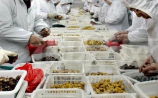 目前農(nóng)村種什么東西比較賺錢，種植金銀花的利潤比較可觀