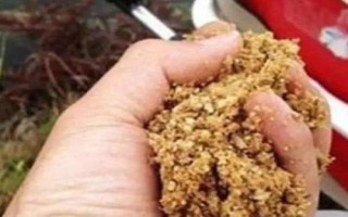 魚餌入水散落太快的原因及解決辦法，可能是魚餌攪拌不均勻或餌水比沒掌握好等