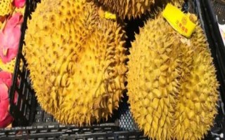 榴蓮價(jià)格貴但我國為何種植少，氣候不適宜、種植成本高皆是重要原因