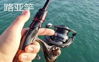 釣黑魚(yú)用什么竿線鉤，可以使用傳統(tǒng)竿、pe線、伊豆鉤等漁具