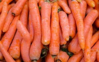 紅蘿卜保存方式，以下3種方法均可嘗試